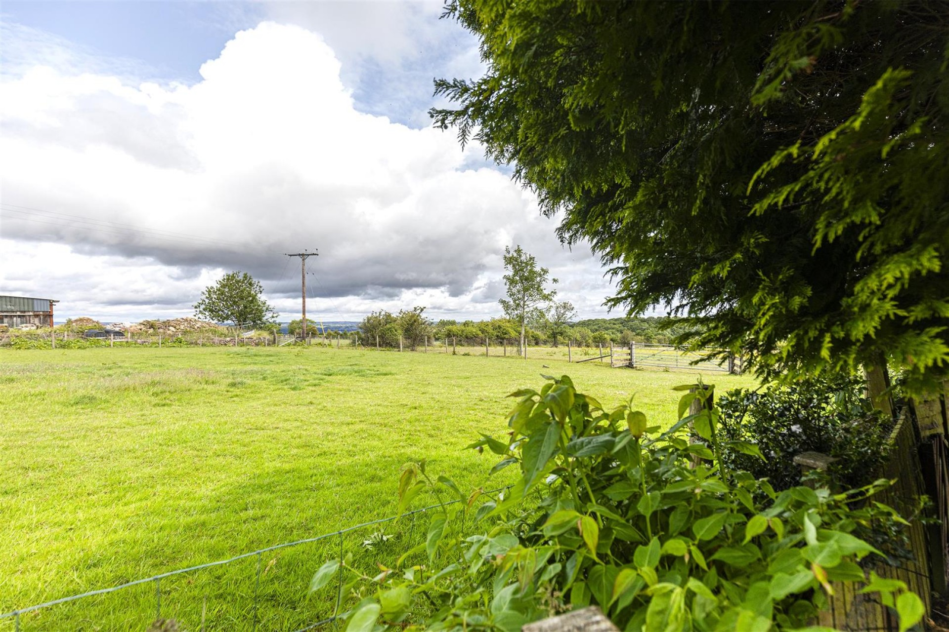 Images for Kaye Lane, Huddersfield