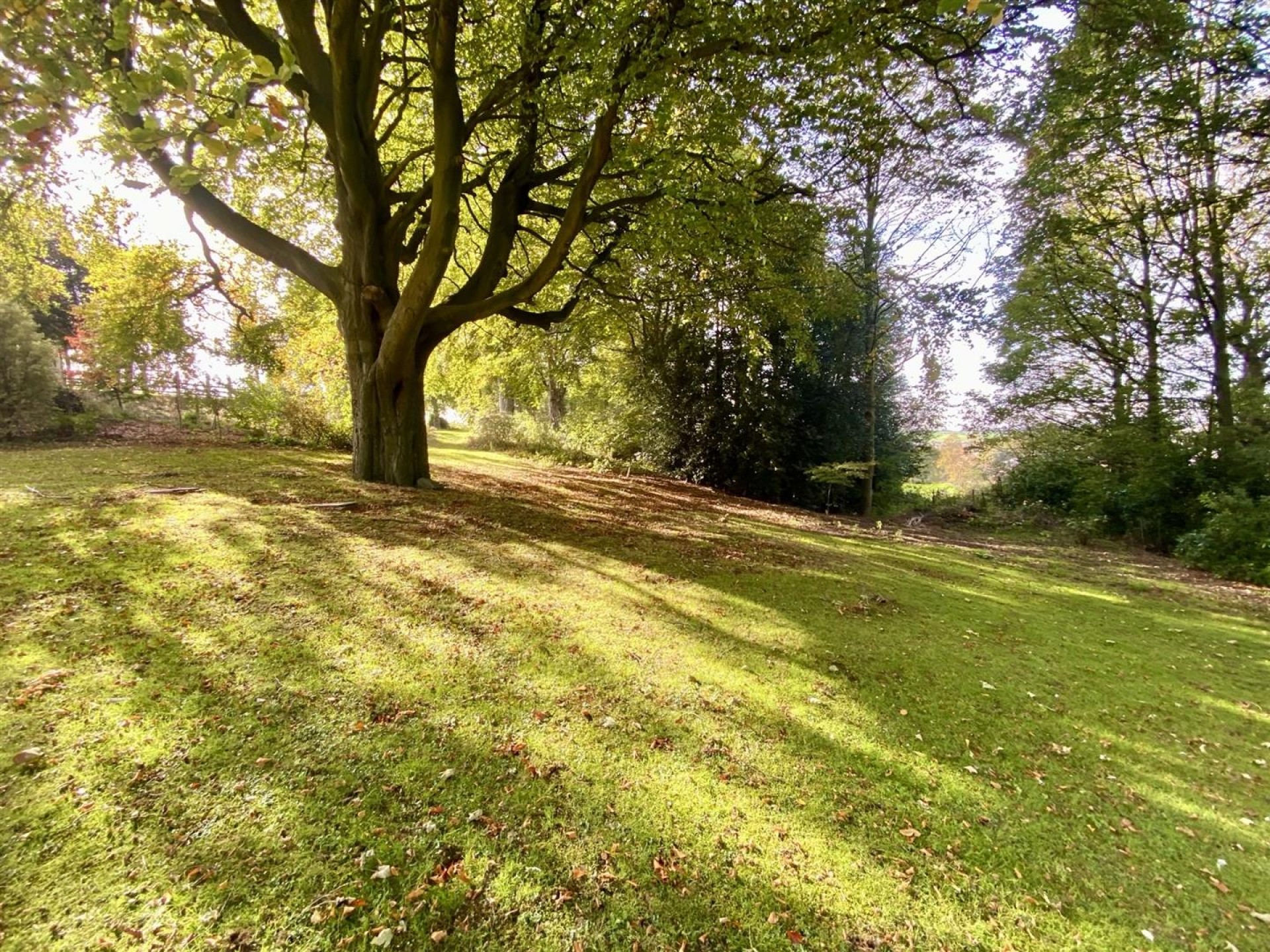 Images for Sands Lane, Mirfield