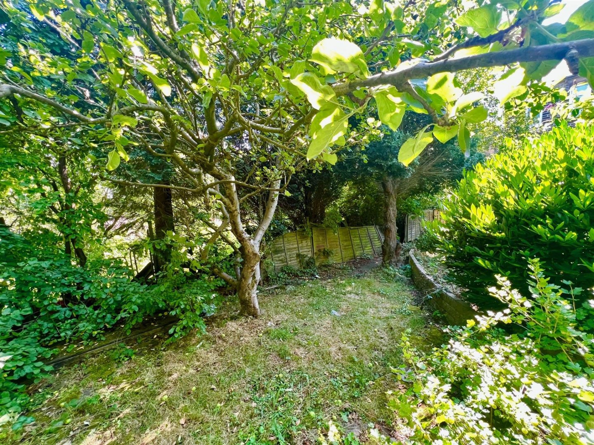 Images for Pellon Lane, Halifax